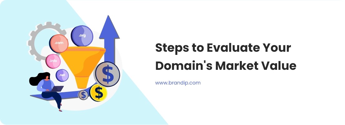 / Steps to Evaluate Your Domain's Market Value
